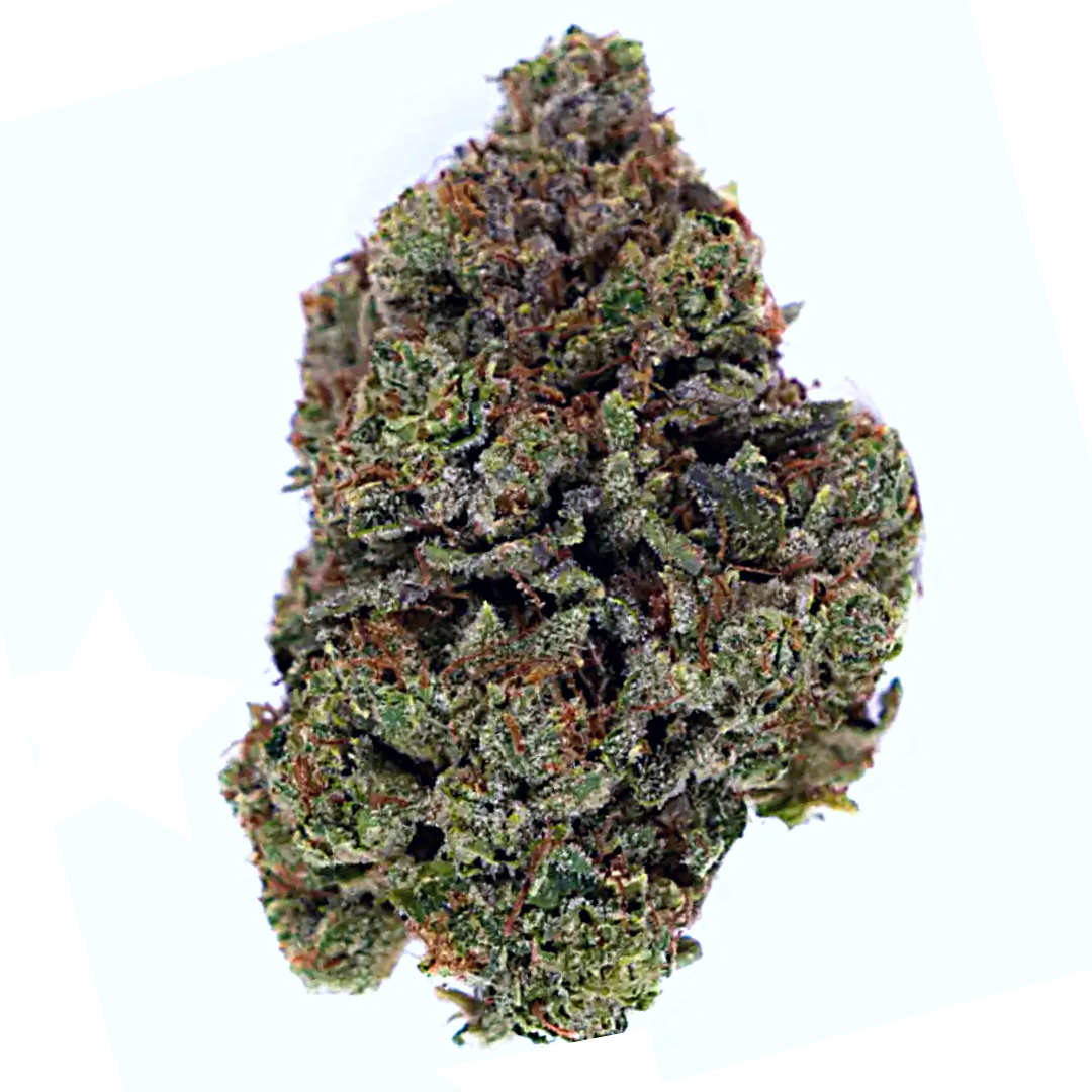 Gorilla Glue | Premium