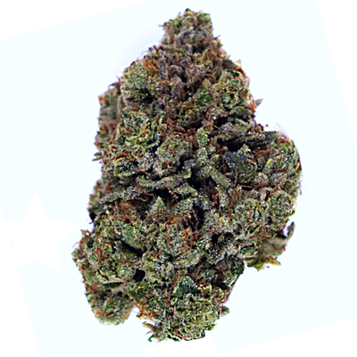 Gorilla Glue | Premium | 28g