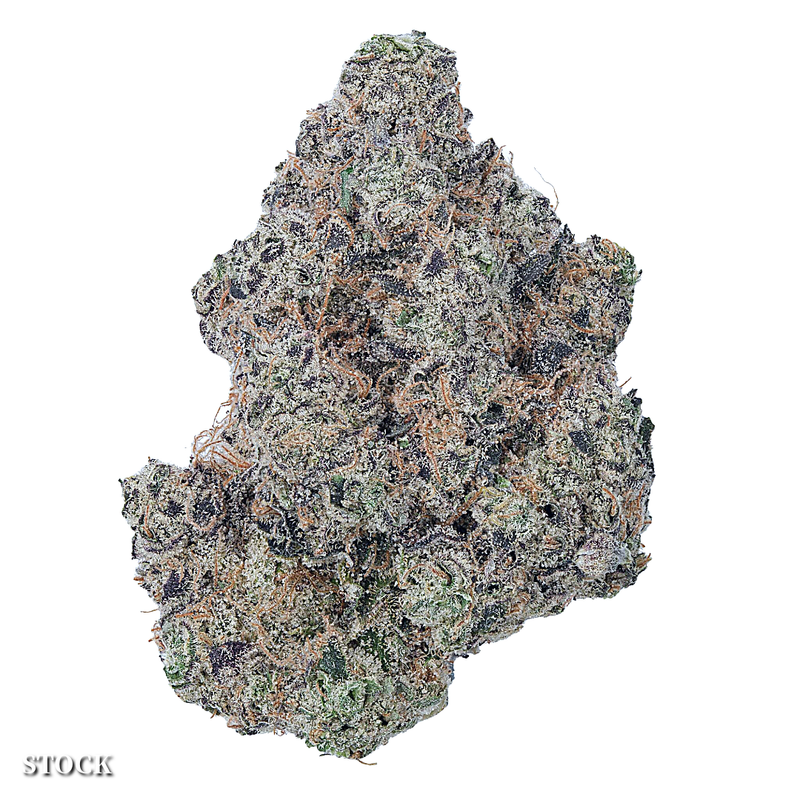 Oreoz | Premium