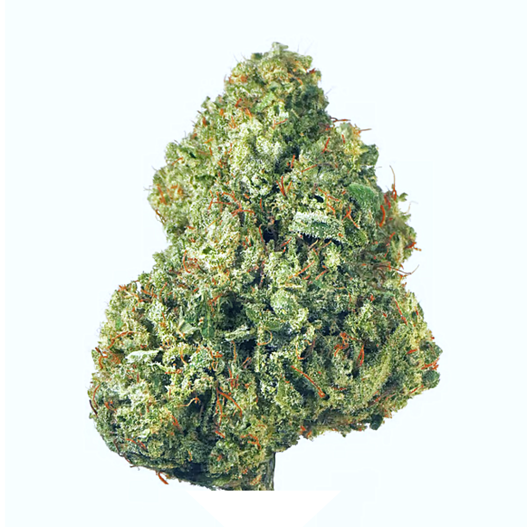 Tropical Burst | Mids