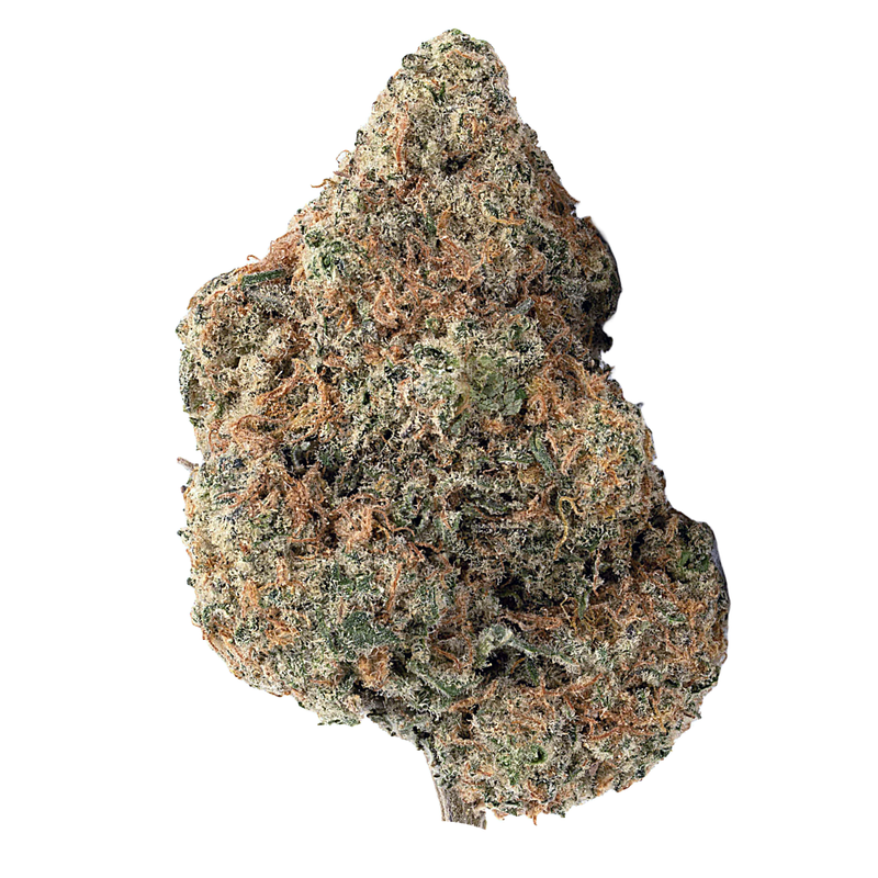 Gelato | Mids