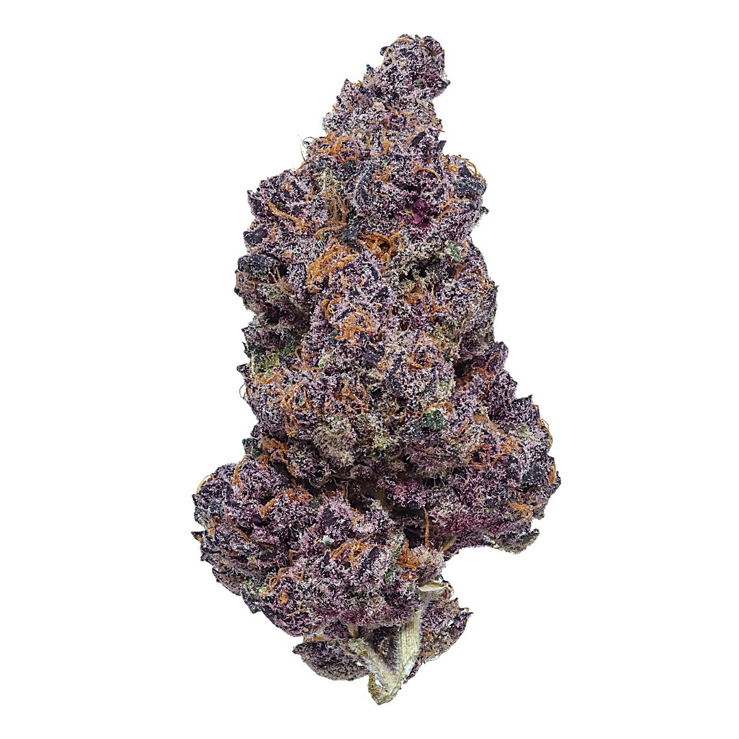 Tropical Cherry | Premium