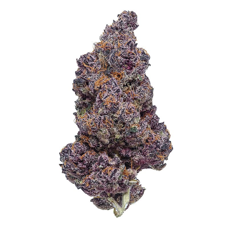 Tropicana Cookies | Premium