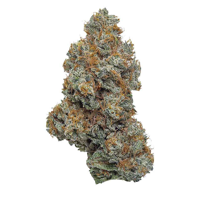 Northern Lights | Premium