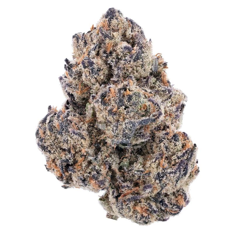 Apple Fritter | Premium