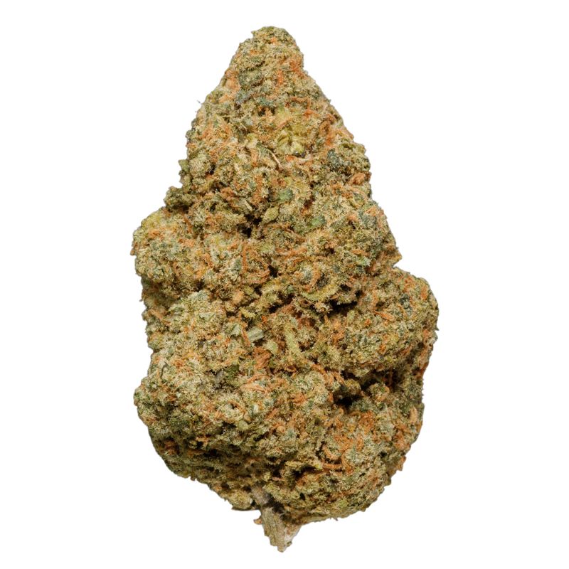 Jack Herer | Premium