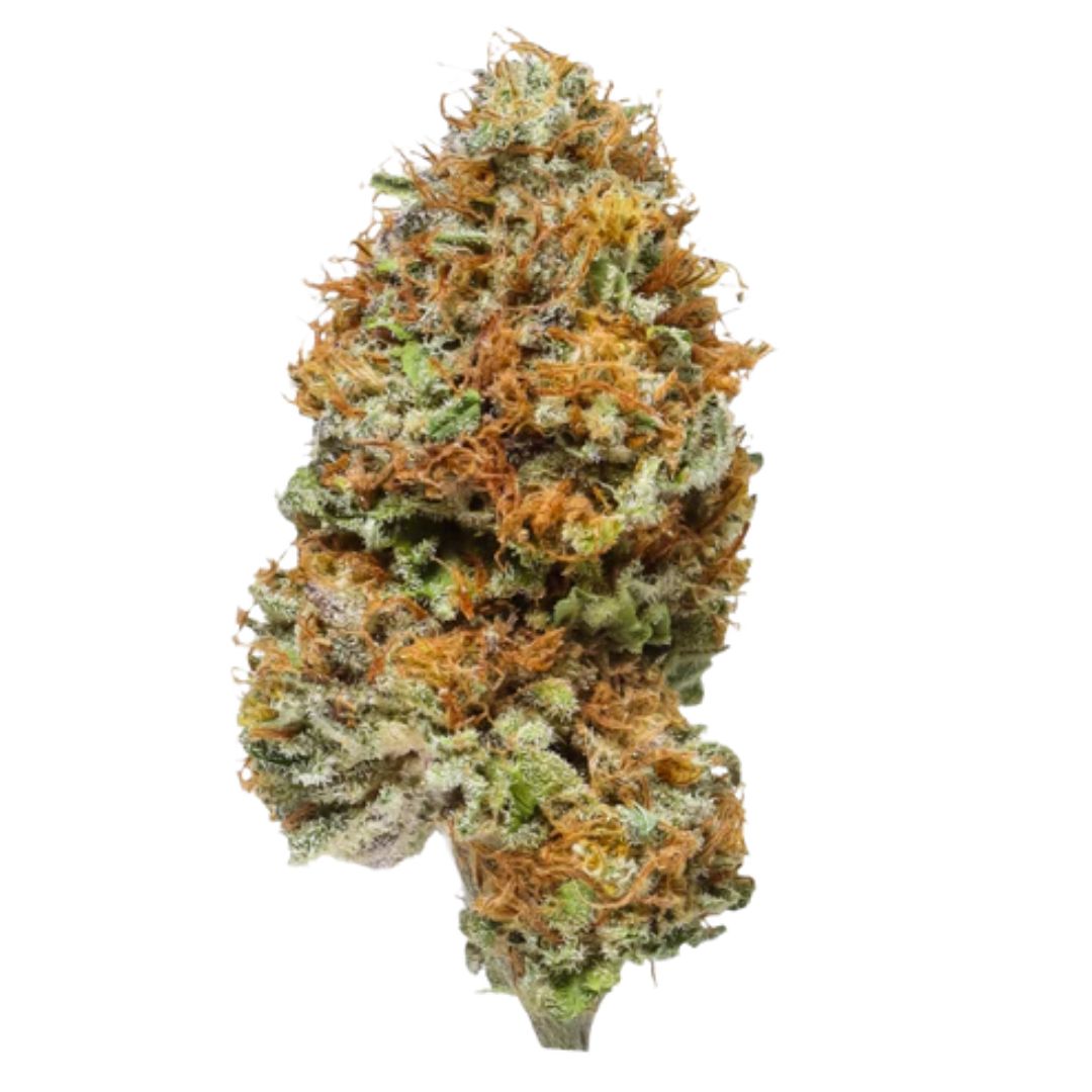 Blue Cheese #12 — Type 2