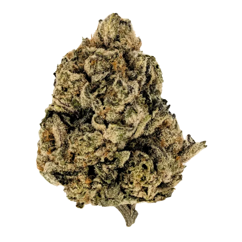 GG4 (Gorilla Glue #4) — THCa