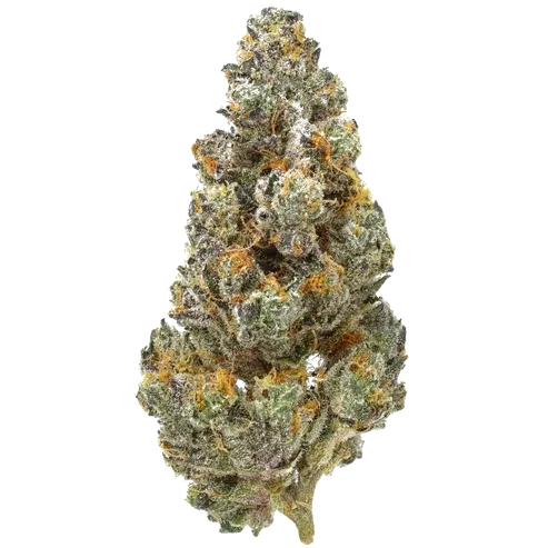 GG4 (Gorilla Glue #4) — THCa