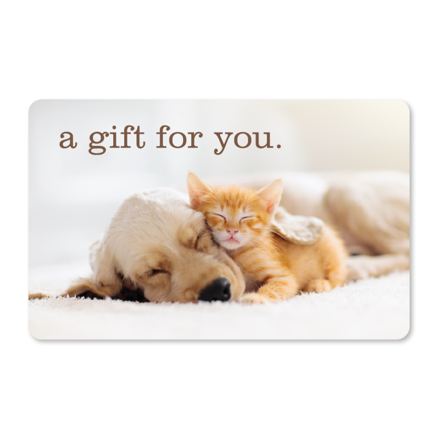 Gift Cards - Cuddle