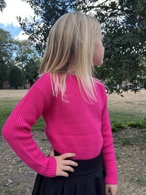 Trybeyond Trendy Fuchsia pull