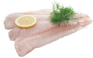 Cod  (Gadus morhua)