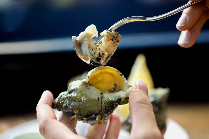 ​Whelks (Buccinum undatum)