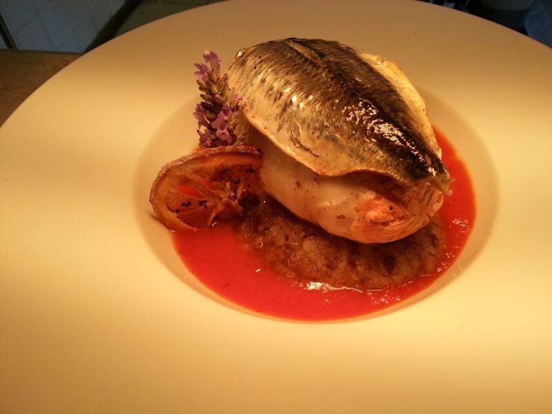 Sea Bream (Sparus aurata)