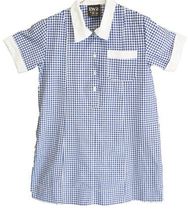 WSSW- Check School Dress