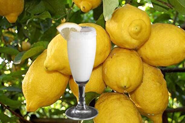 Sorbello al limone