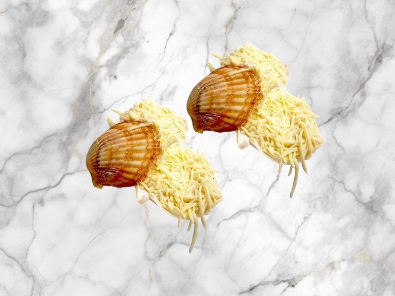 Mix van mini coquilleschelpjes ( 15 stuks )