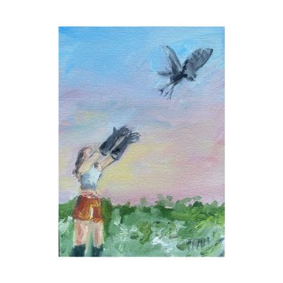 Fly Free