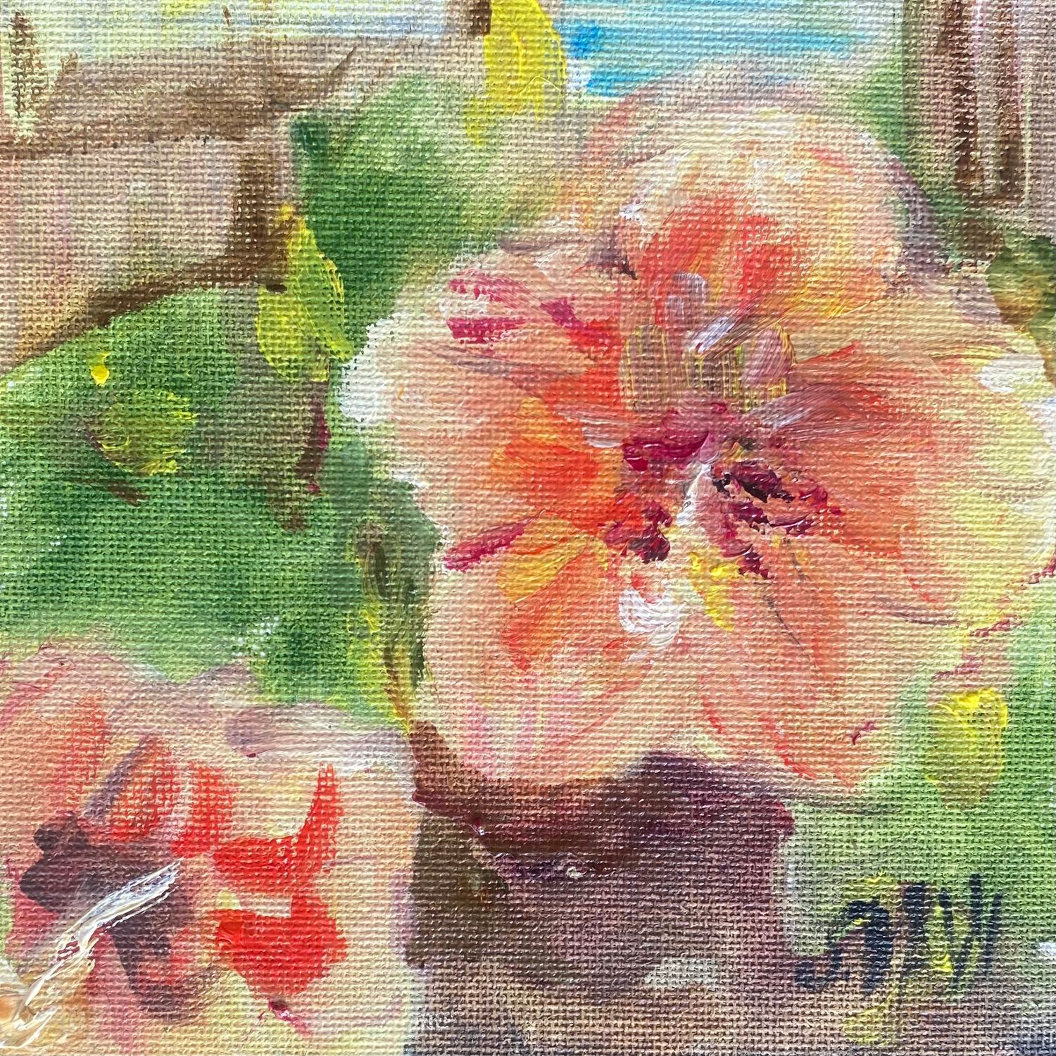Hibiscus