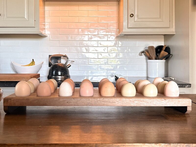 Egg Tray- 24 Count