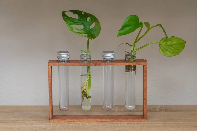 4 Vial Tabletop Propagation Station