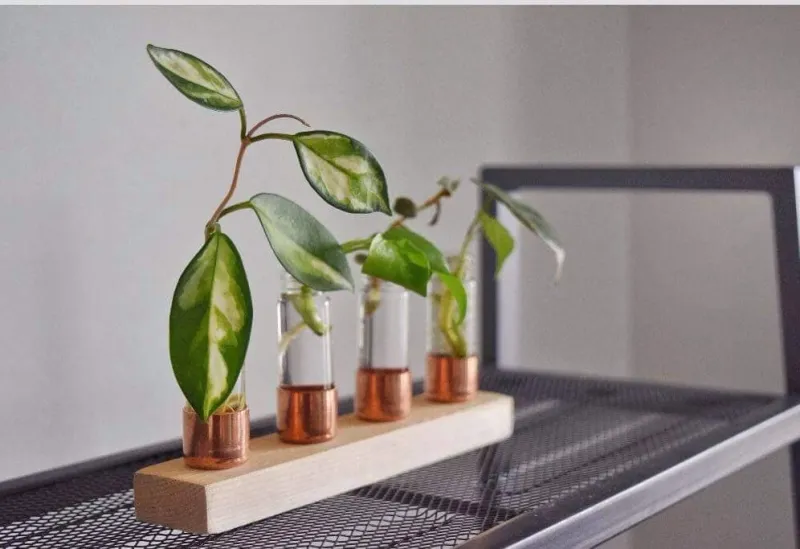 4 Vial Copper Tabletop Propagation Station