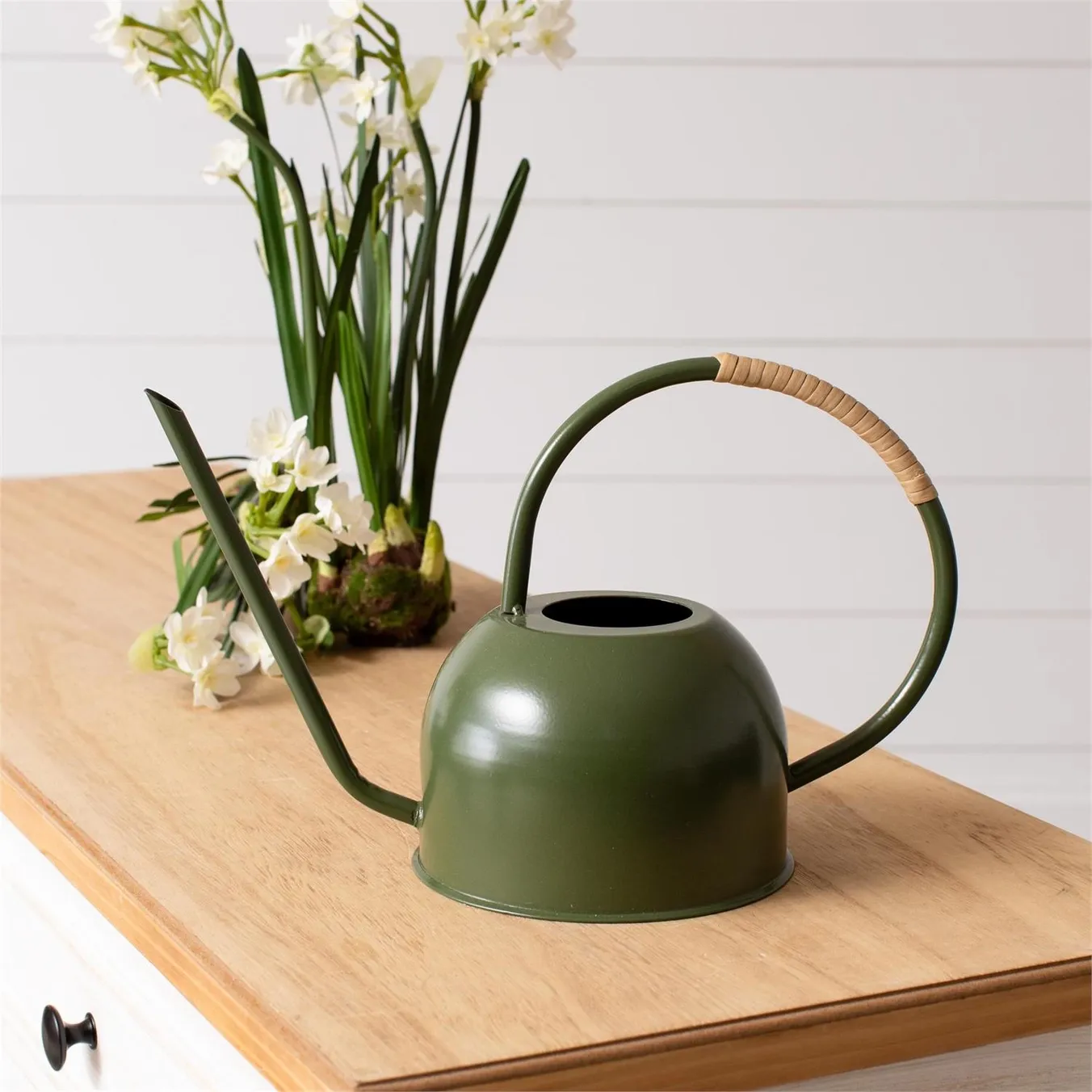 Green Watering Can