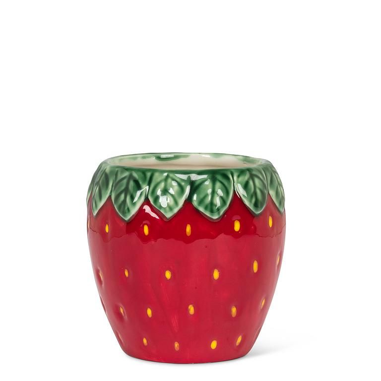 Strawberry Planter
