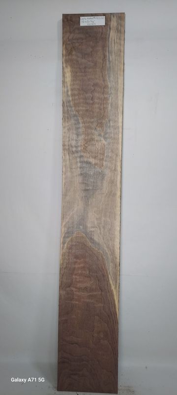 Curly Walnut 7"x43"5/8"