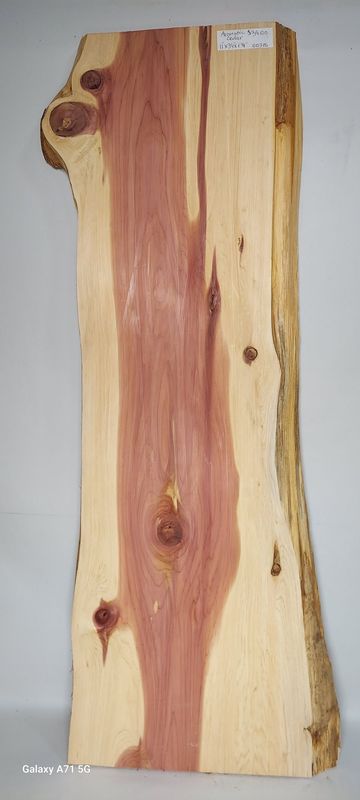 Aromatic Cedar 11"x39"x1 1/8"