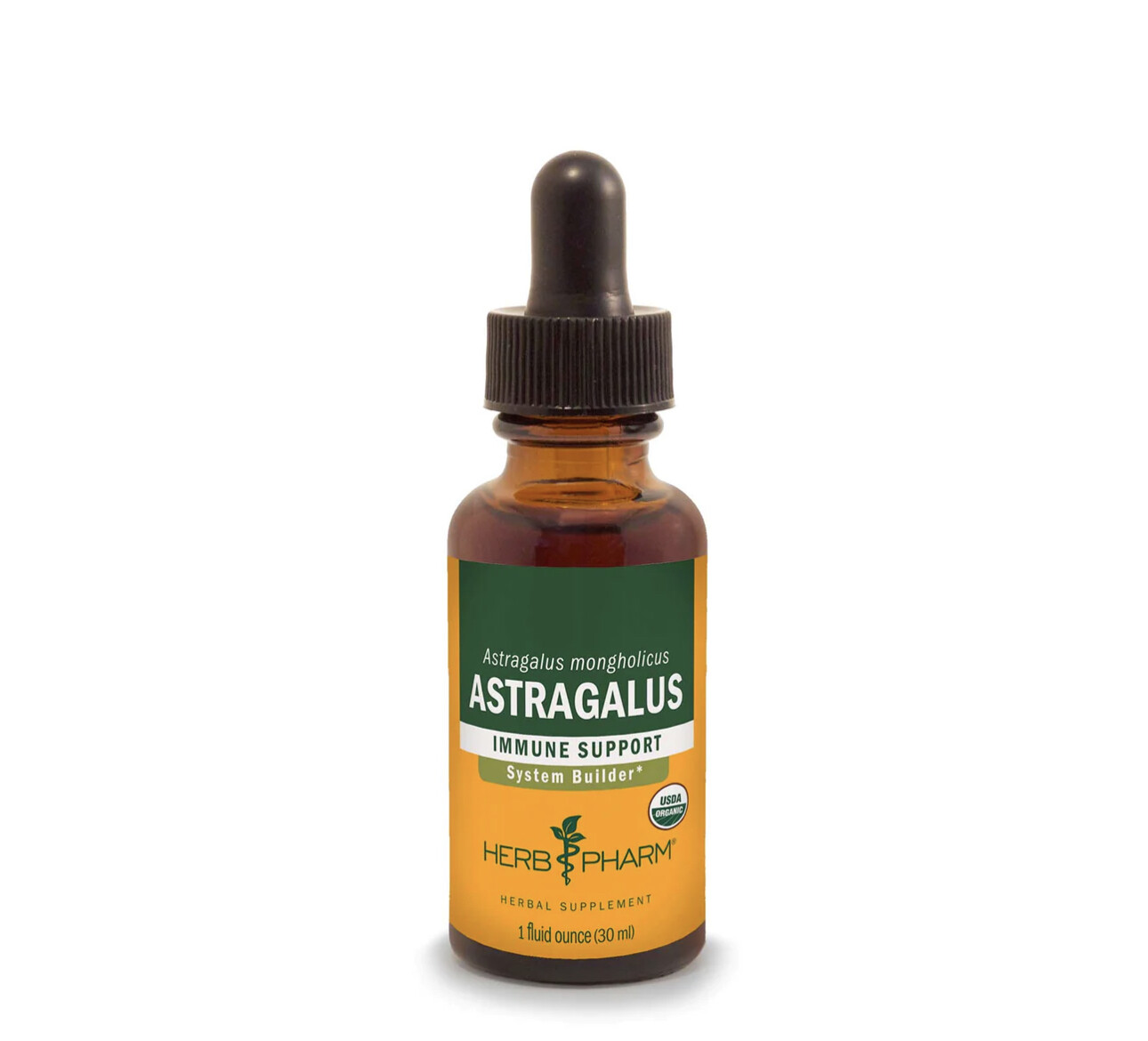 Astragalus, HP