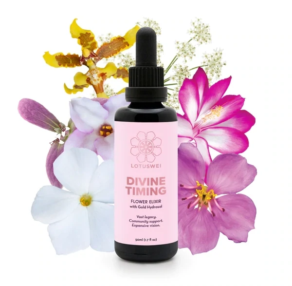 Divine Timing Elixir 2 oz. LW