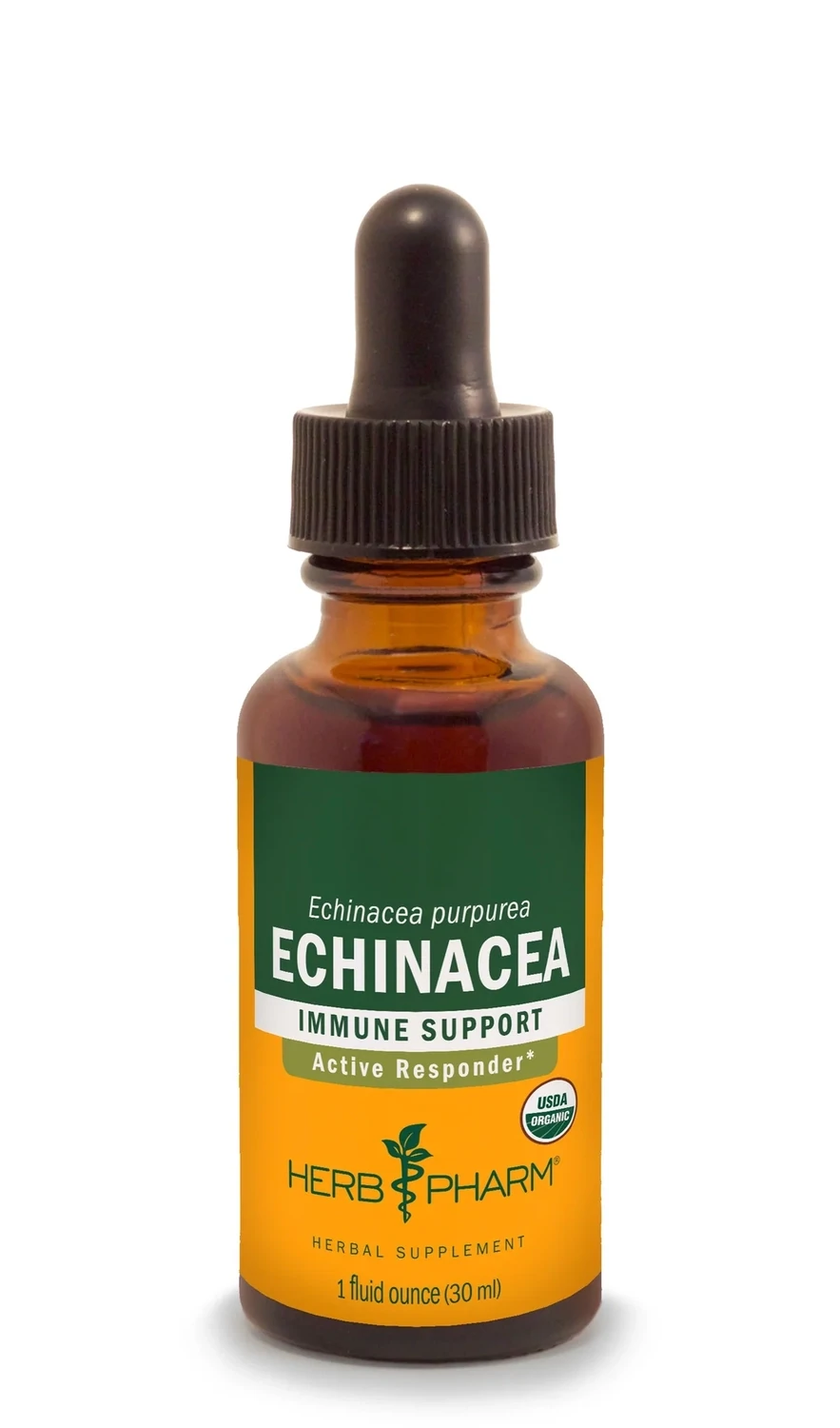 Echinacea Extract HP