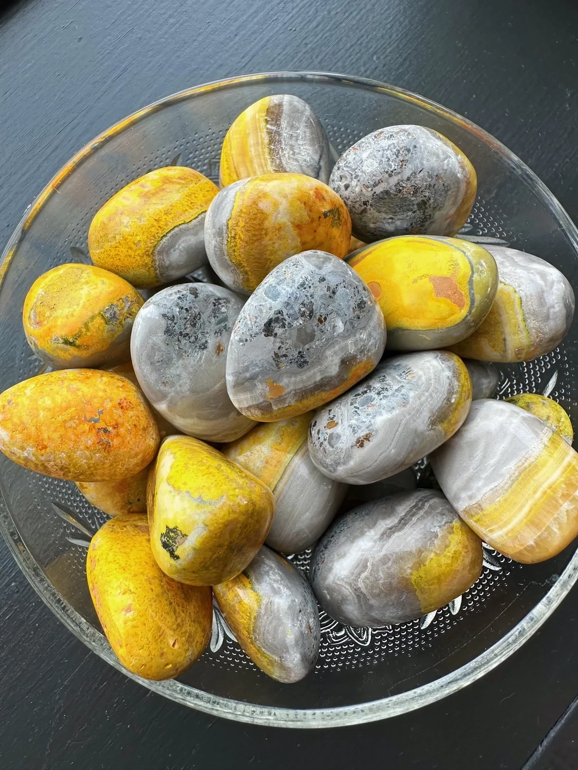 Bumble Bee Jasper 