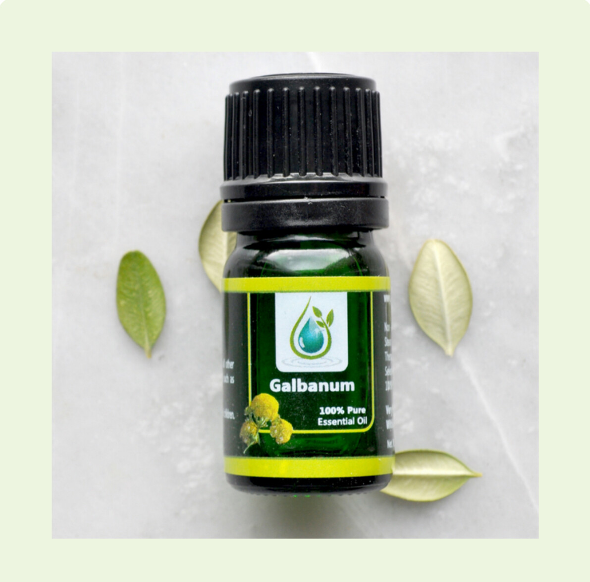 Galbanum 100% Pure Essential Oil