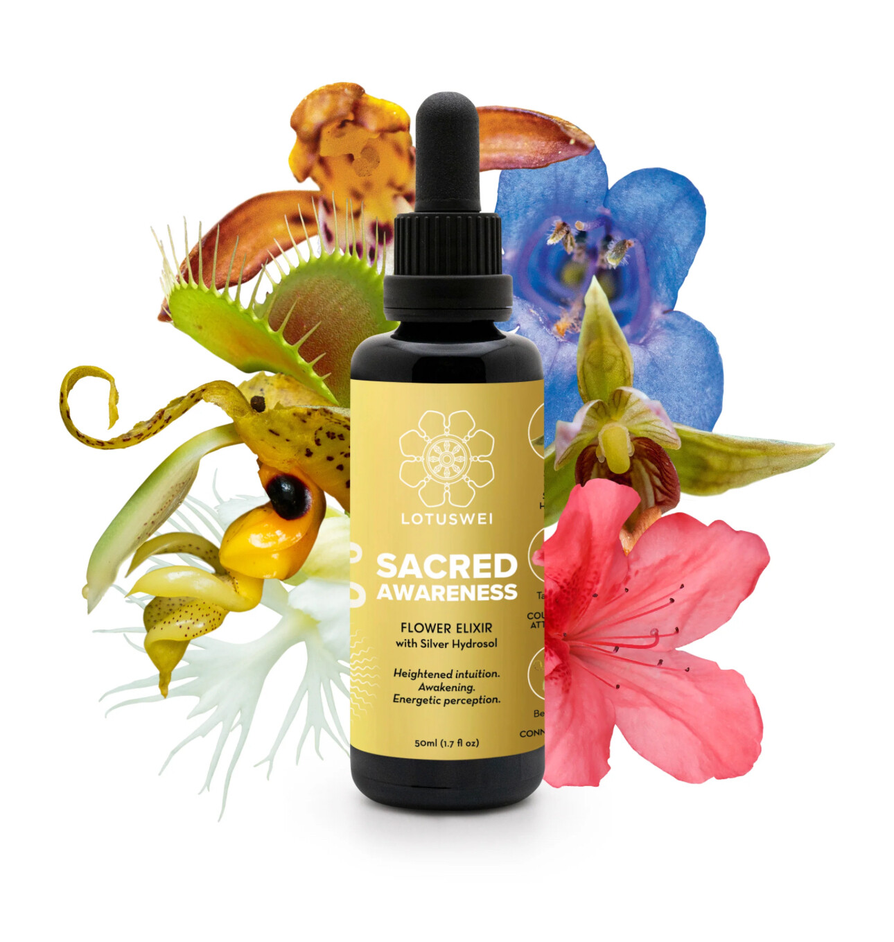 Sacred Awareness 2 oz. Elixir 