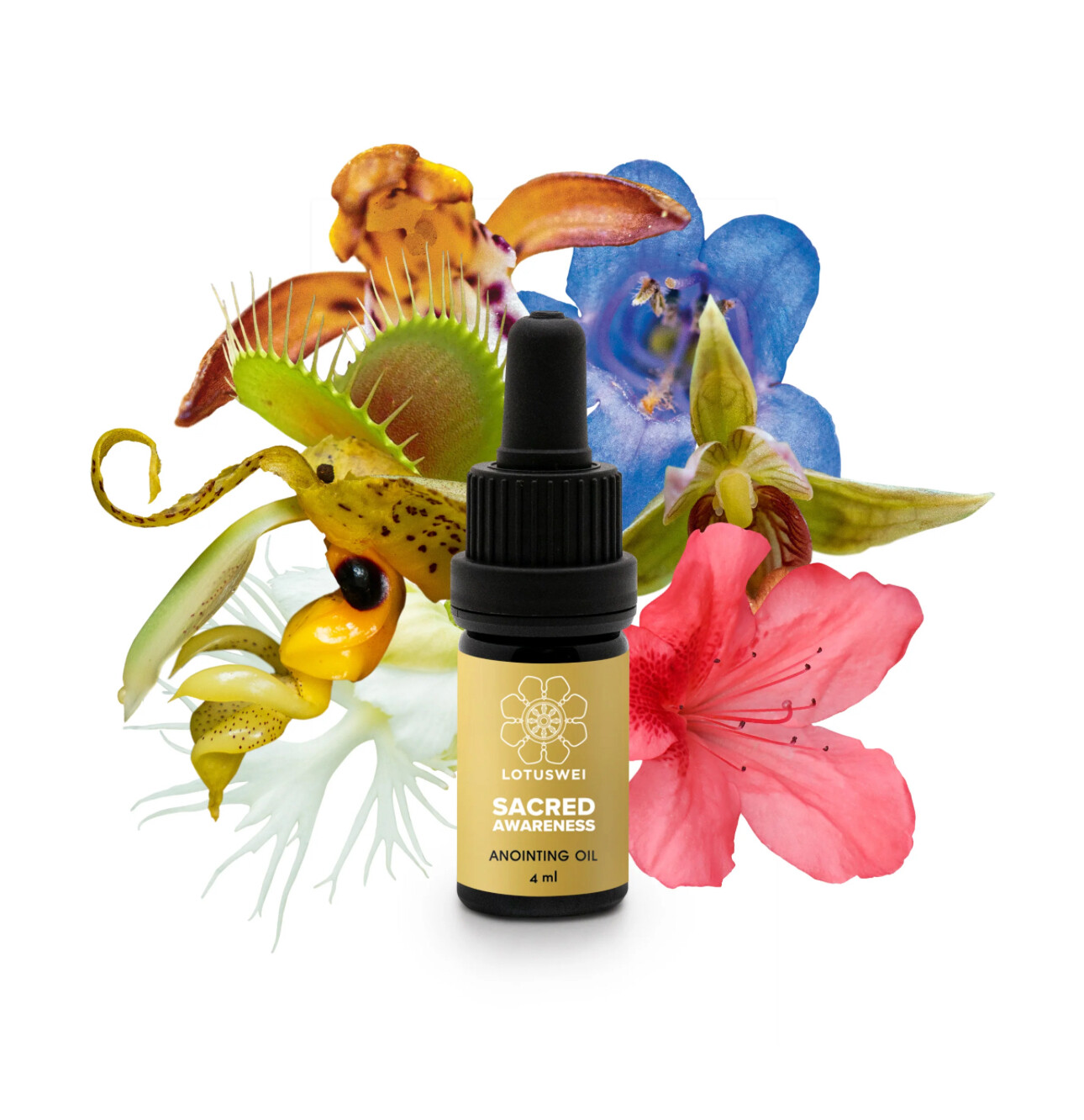 Sacred Awareness Anointing Oil