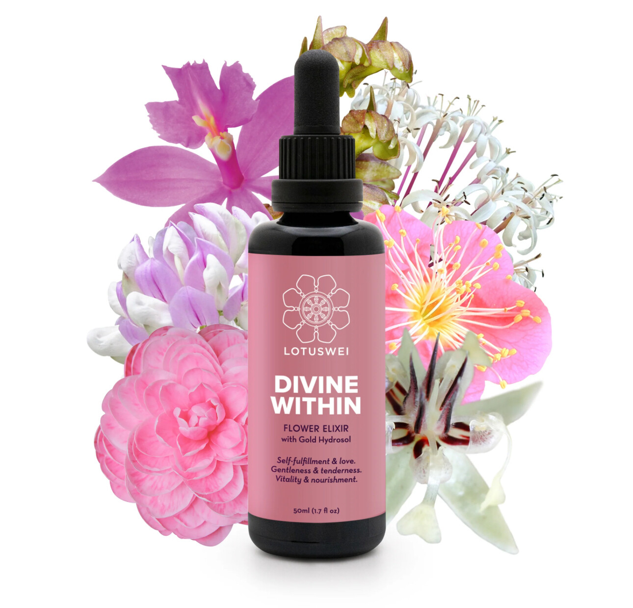 Divine Within 2 oz. Elixir