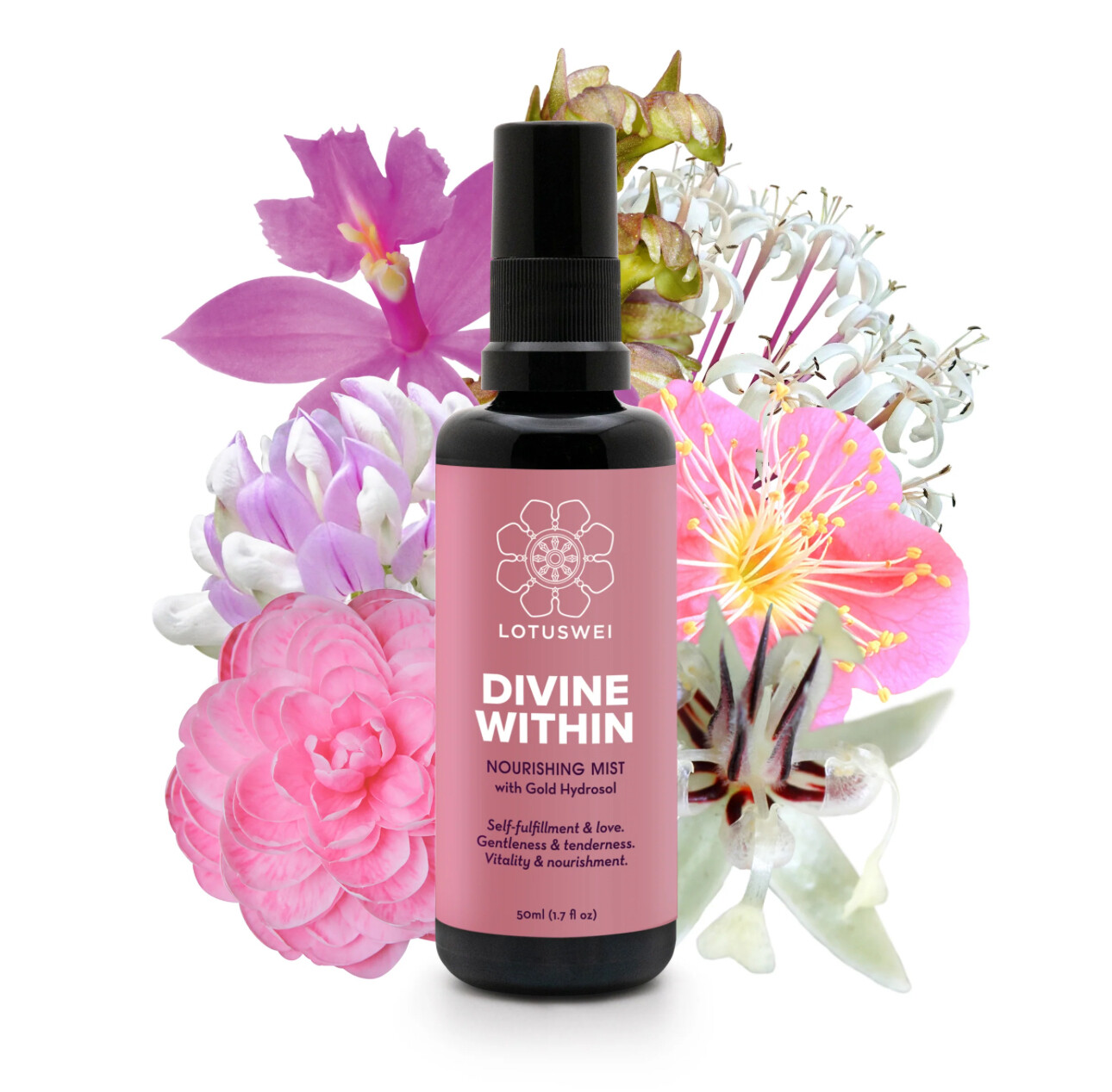 Divine Within 2 oz. Mist