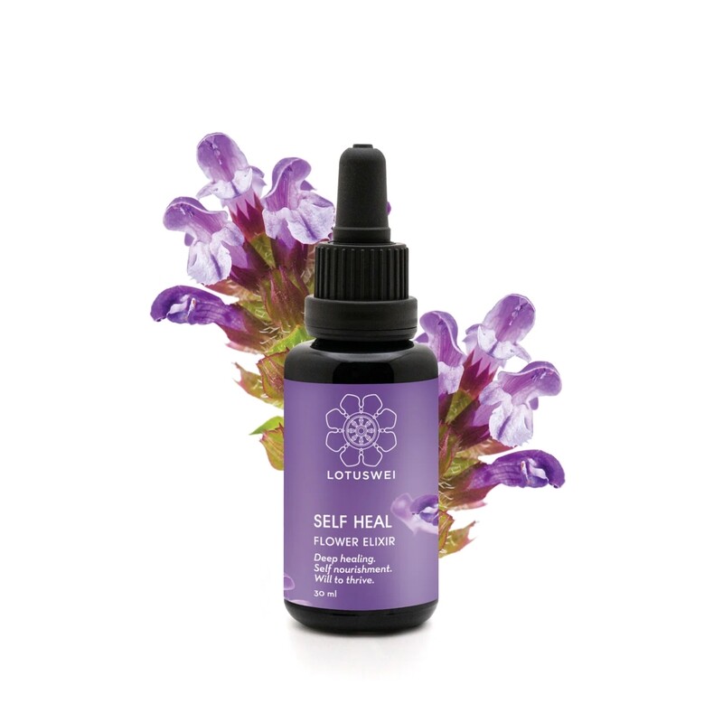 Self Heal 1oz. Flower Essence, LW