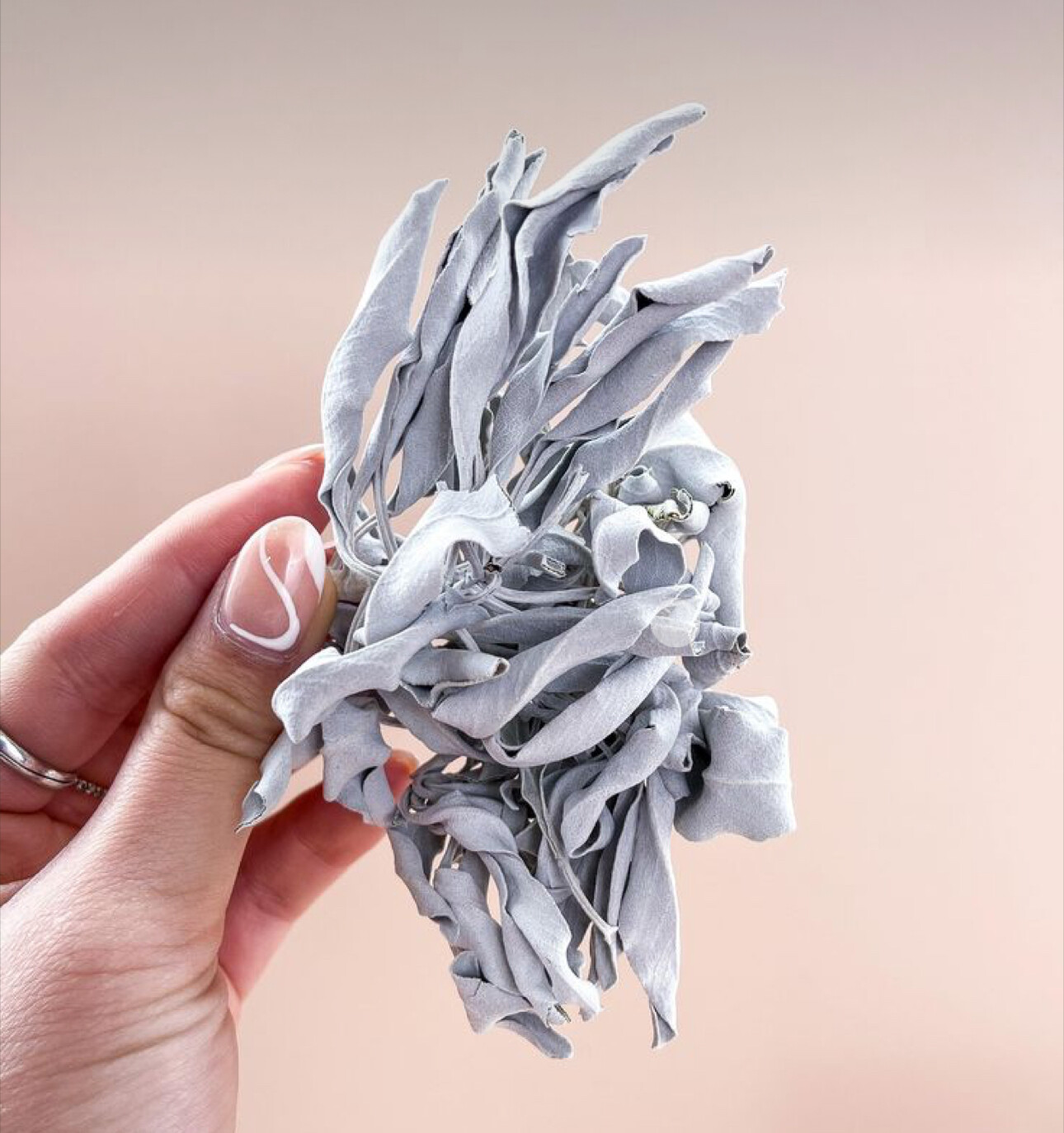 White Sage Sack