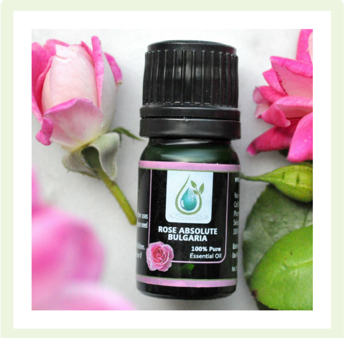 Rose 5ml., JB