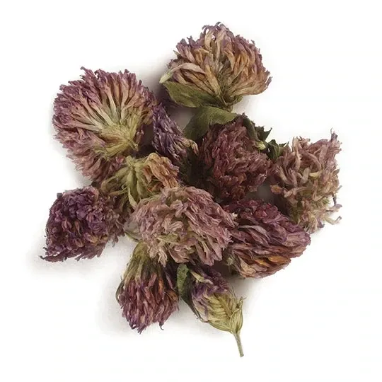 RED CLOVER BLOSSOMS 1oz