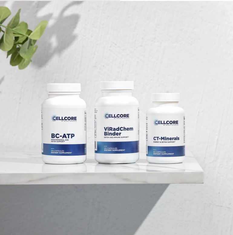 Maintenance Support Bundle