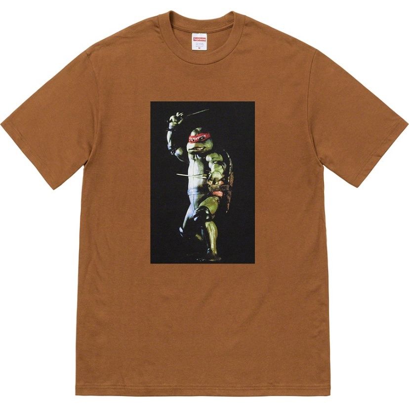 Supreme Raphael Tee Brown