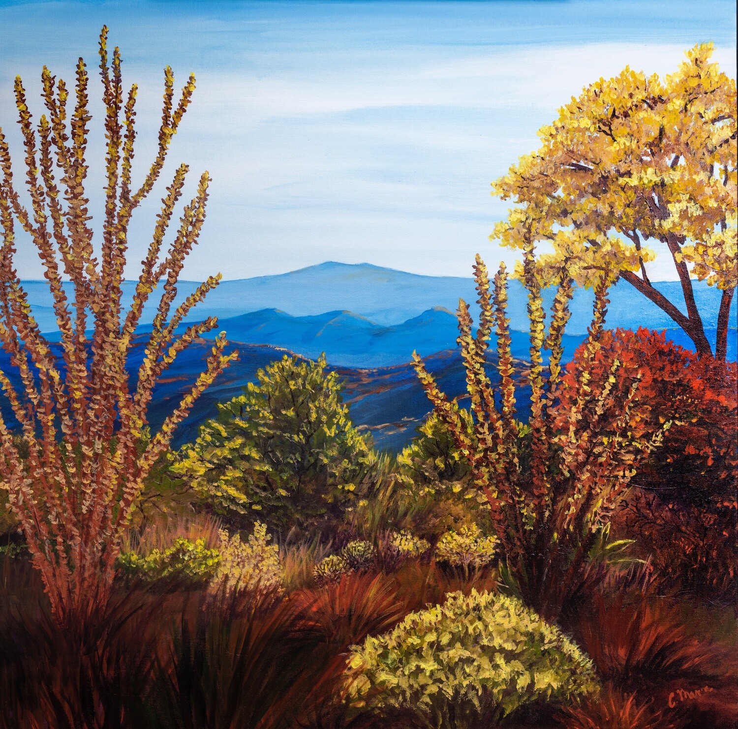 ‘Desert Garden’ 10x10