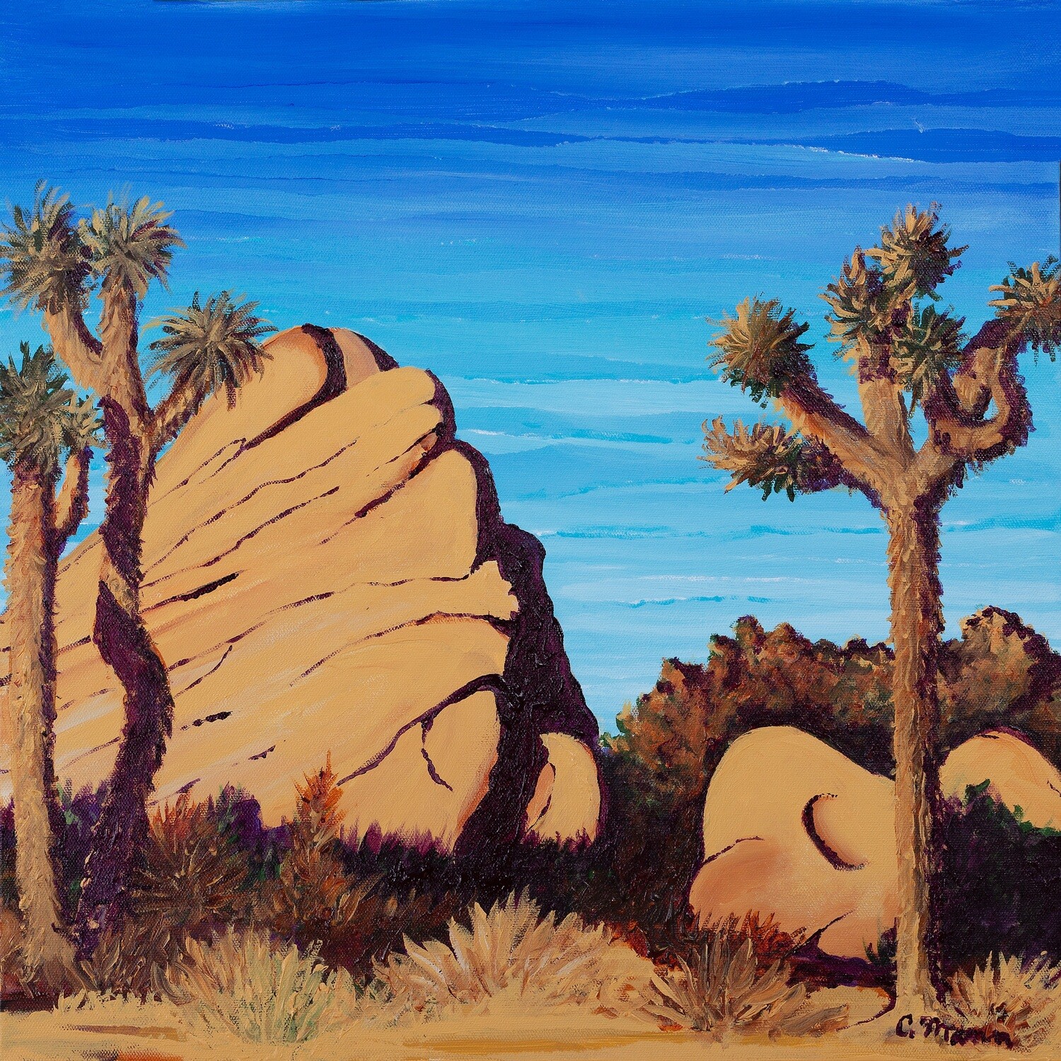 'Joshua Tree' 10x10