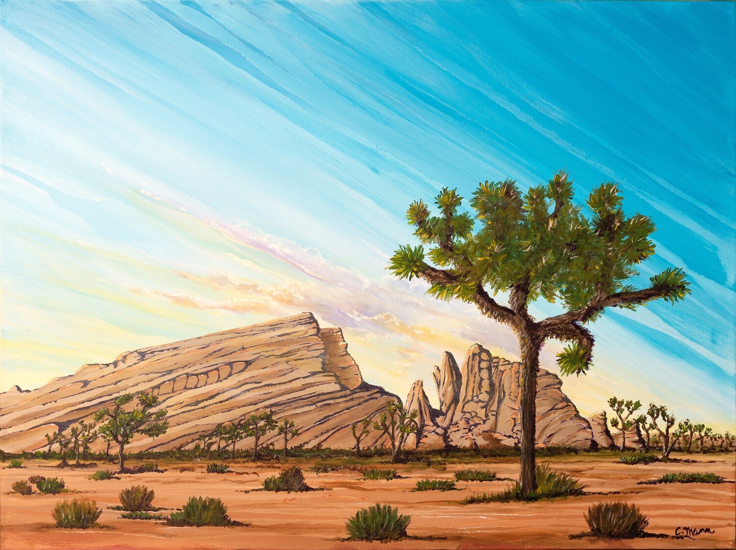 'Springtime  in Joshua Tree' 5.5x4 notecards (bundle of 10)