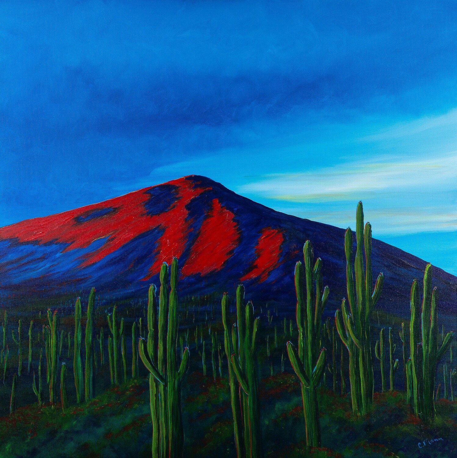 'Saguaro Valley' SOLD