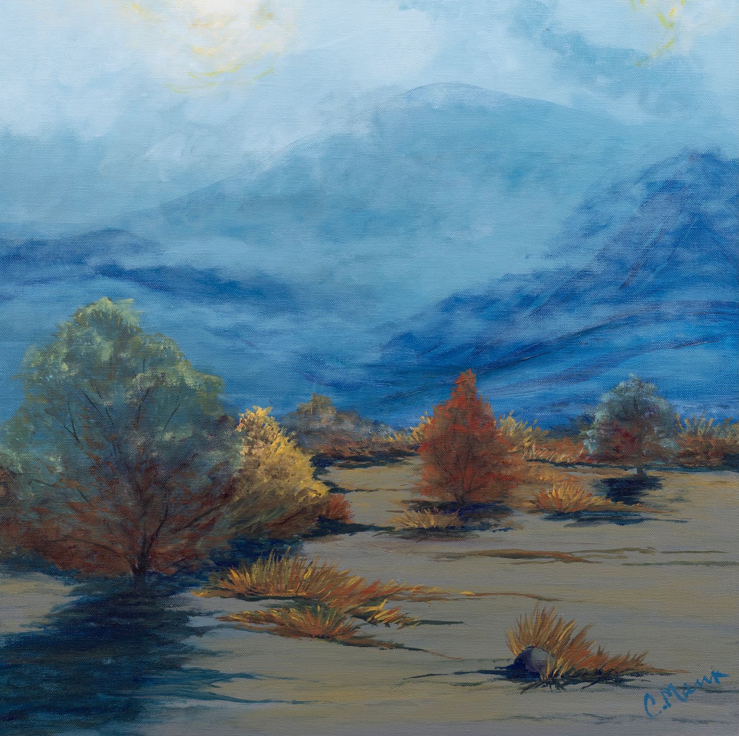 ‘Foggy Morning at Smoketree’ SOLD